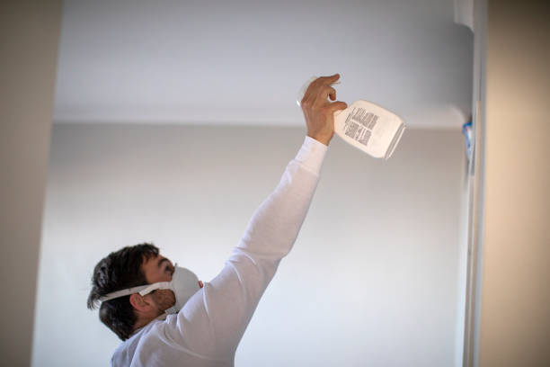 Best Certified Mold Removal  in Leonia, NJ