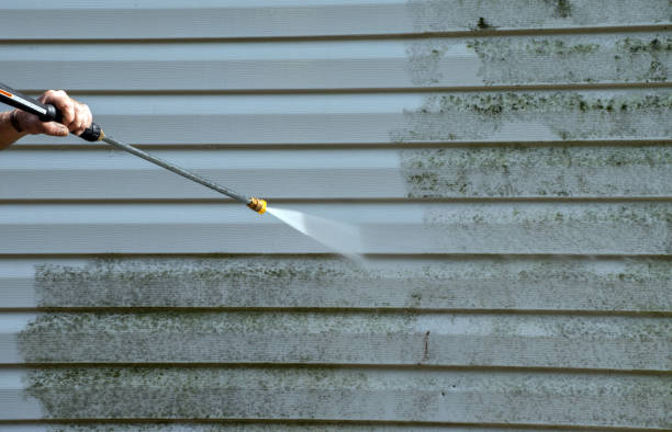 Best Fast Mold Removal  in Leonia, NJ