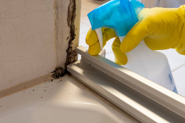 Best Office Mold Removal Services  in Leonia, NJ