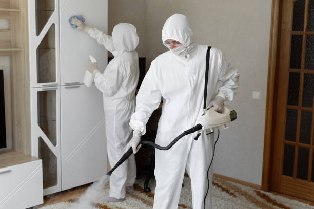 Best Mold Remediation Services  in Leonia, NJ