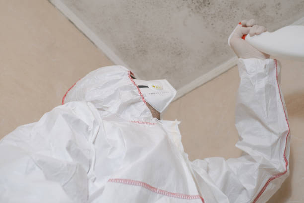 Best Home Mold Removal  in Leonia, NJ