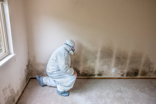 Best Mold Testing  in Leonia, NJ