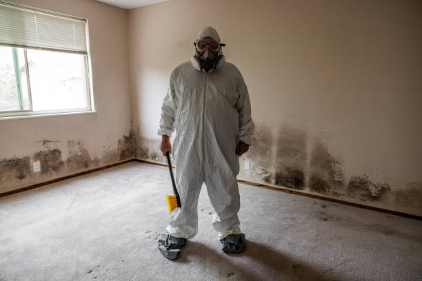 Best Emergency Mold Removal  in Leonia, NJ
